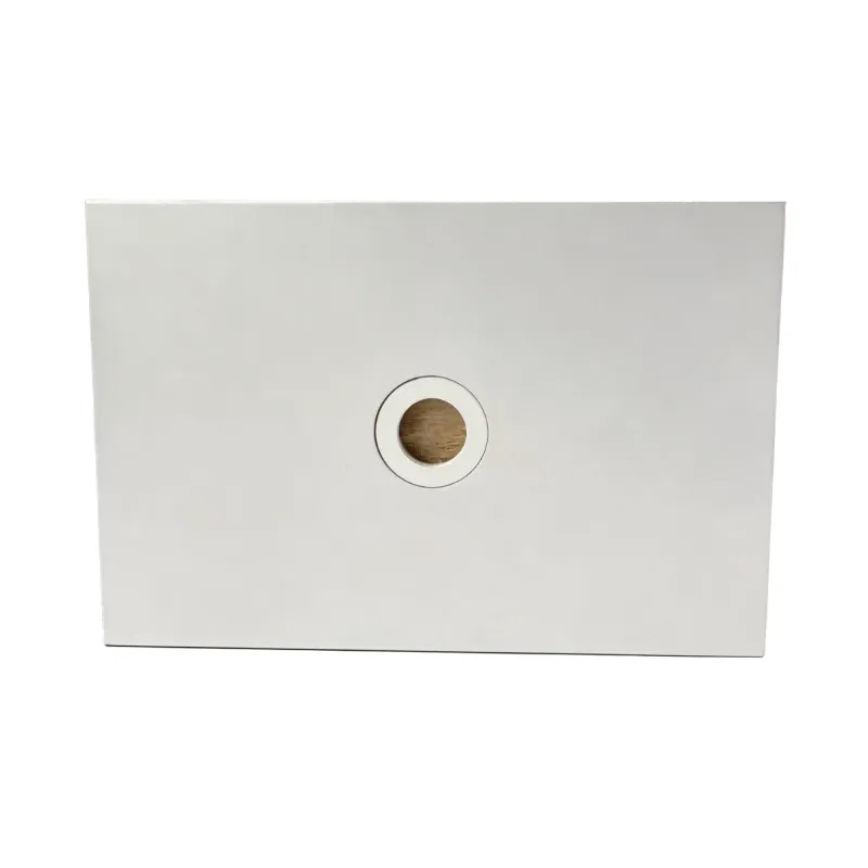 Magnesium Oxide Rock Wool cleanroom panel in semiconductor fab installation